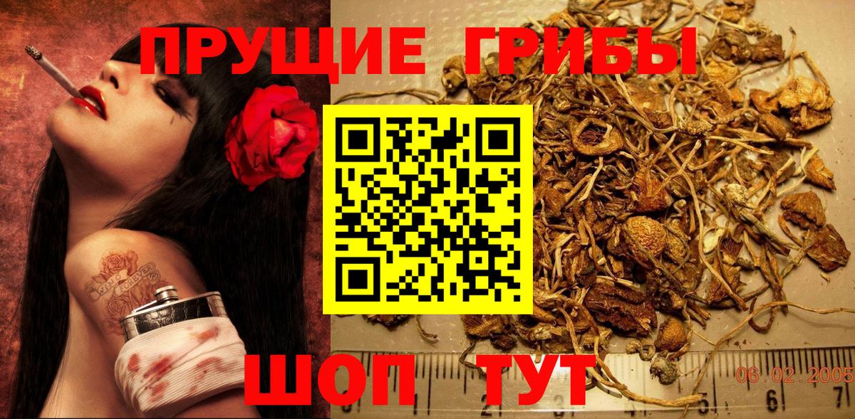Псилоцибиновые грибы MAGIC MUSHROOMS  Вход с VPN  Алексеевка 